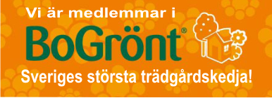 Bo gront shedja Bo gront shedja