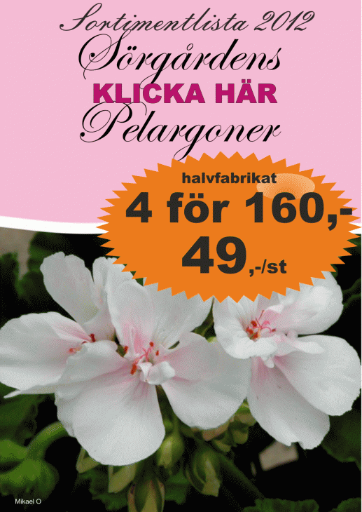 HALVFABRIKAT ANI HALVFABRIKAT ANI