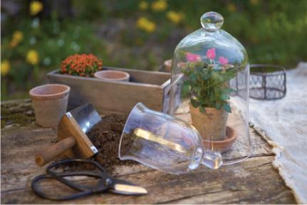 plantering plantering