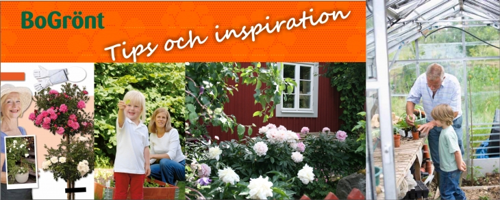 tips och inspiration tips och inspiration