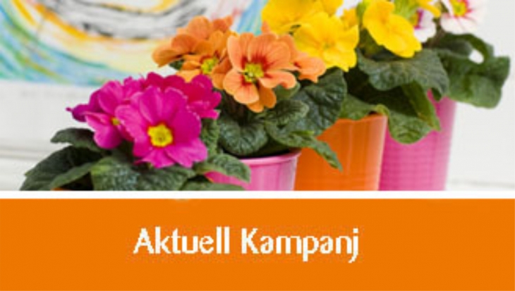 aktuell kampanj aktuell kampanj