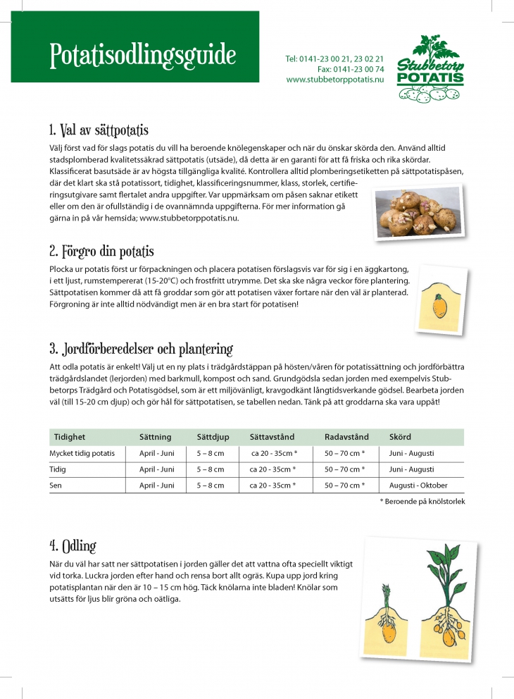 Potatisplanteringsguide